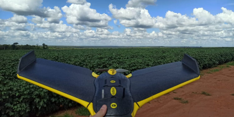 Sebrae Like a Boss prepara startups para o mercado internacional