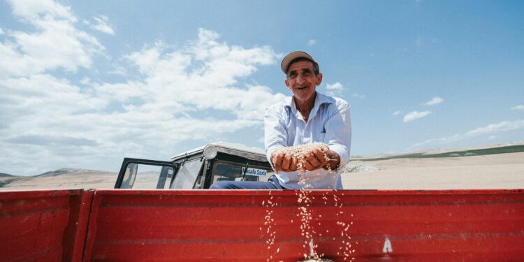 Bunge e UPL formam empresa para atender agricultores do Norte e Nordeste do Brasil