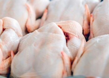 África do Sul suspende antidumping contra frango congelado brasileiro