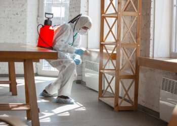 Cuidados de segurança ao receber empresas de dedetização e piscina na sua casa