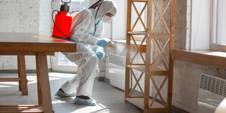 Cuidados de segurança ao receber empresas de dedetização e piscina na sua casa