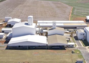 Grupo Syngenta registra vendas de US$ 18,1 bilhões no primeiro semestre de 2022