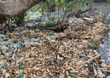 Com retirada de lixo, OCB/GO realiza educação ambiental no Meia Ponte