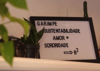 Mercado de brechós cresce cada vez mais no DF