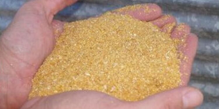 Mercado promissor: Indústrias de Mato Grosso realizam nova exportação de DDG