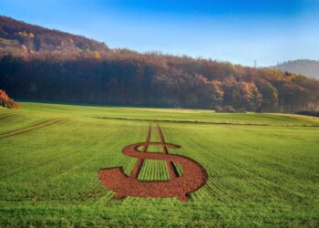 Pedidos de recuperação judicial estão aumentando entre produtores rurais