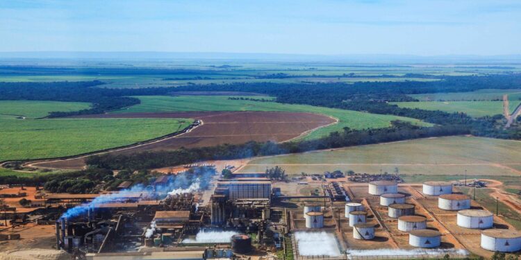 Apesar de queda na moagem, Uisa quintuplica lucro em 2021/22, para R$ 183,65 milhões