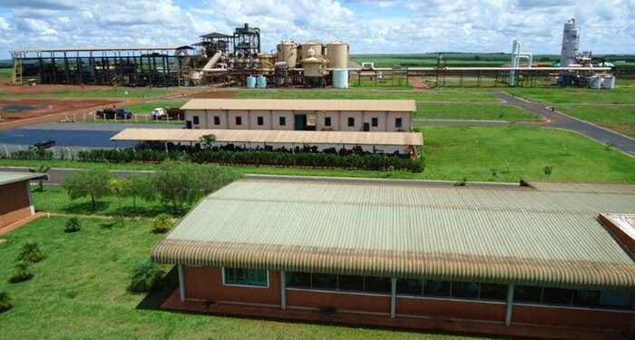Usina Goiás Bioenergia recebe autorização da ANP para produzir etanol