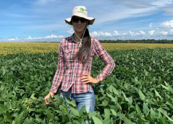 Área de soja convencional cresce quase 35% em Mato Grosso