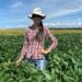 Área de soja convencional cresce quase 35% em Mato Grosso