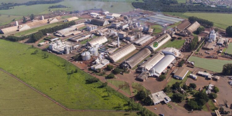 Cooperativa Comigo deve faturar R$ 15 bilhões neste ano