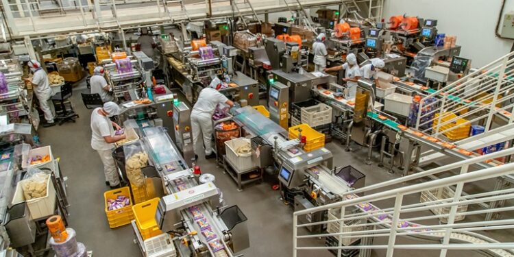 GSA Alimentos se prepara para aumentar produção