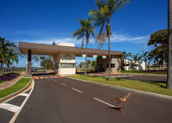 Oito a cada dez consumidores desejam imóvel mais conectado com meio ambiente, informa pesquisa