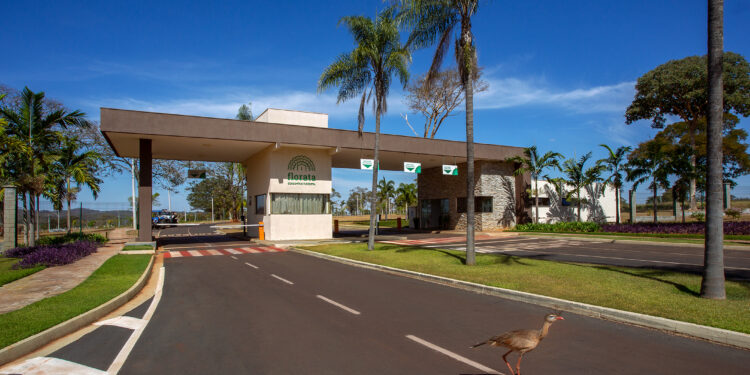 Oito a cada dez consumidores desejam imóvel mais conectado com meio ambiente, informa pesquisa