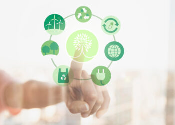 Sustentabilidade como Estratégia de Negócio