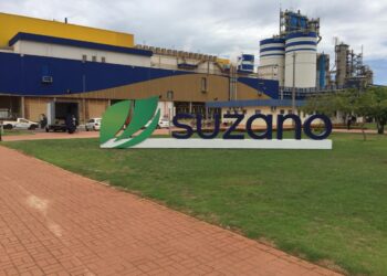 Suzano já produz energia limpa de biomassa suficiente para duas ‘Campos Grandes’