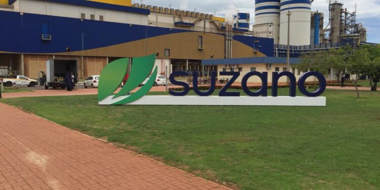 Suzano já produz energia limpa de biomassa suficiente para duas ‘Campos Grandes’