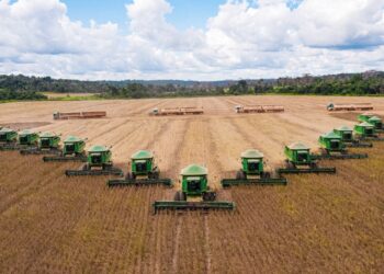 Agro Nutri Brasil compra fazenda em Mato Grosso, por R$ 124,6 milhões