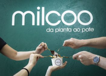 Milcoo chega ao mercado goiano com iogurtes e sorvetes à base de coco