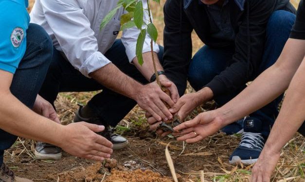 Produtores rurais de Goiás podem se inscrever em programa de reflorestamento ambiental