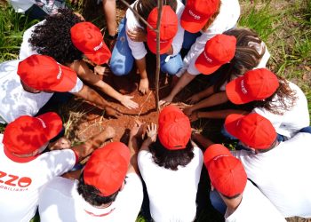 Área de Preservação Ambiental, próxima à capital goiana, ganha 1300 mudas de espécies nativas