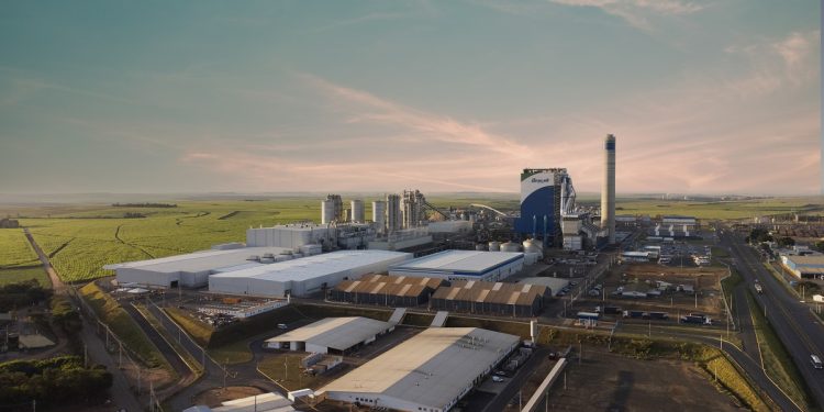 Com vagas em MS, Bracell tem mais de 1000 oportunidades em aberto