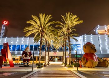 Polo Gastronômico Flamboyant aposta no maior evento esportivo do planeta