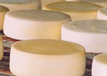 Queijo Minas Artesanal pode se tornar patrimônio cultural da humanidade