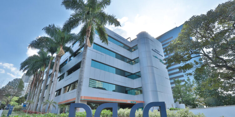 Rech investe R$ 1,2 milhão em geração de energia limpa em MT e BA