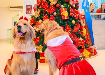 Natal Encantado EBM realiza encontro natalino de pets