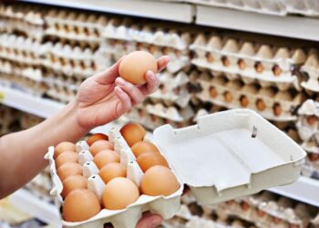 Com escassez de ovos nos EUA e Europa, produto pode ficar mais caro para os brasileiros