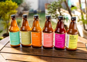Goianos lançam Kombucha com frutos do cerrado