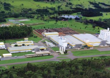 Piracanjuba tem nova estrutura societária