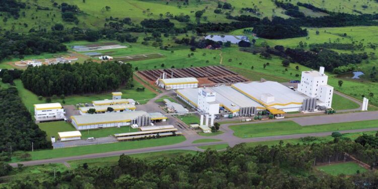 Piracanjuba tem nova estrutura societária