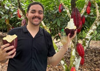 Elixir Foods: Pesquisador da UFG cria substituto para açúcar a partir de resíduos do cacau