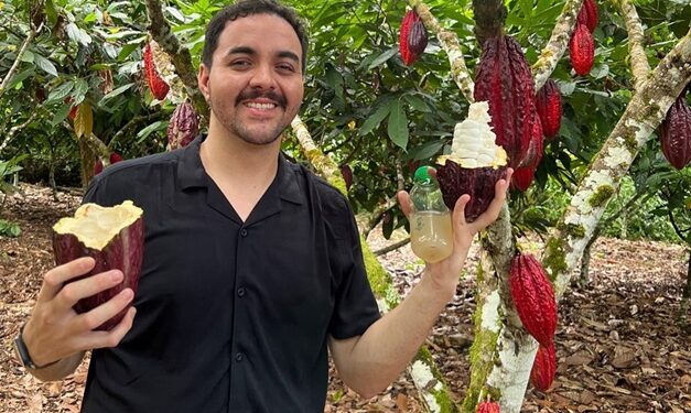 Elixir Foods: Pesquisador da UFG cria substituto para açúcar a partir de resíduos do cacau