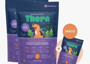 Alimento para pets à base de mosca chega ao mercado