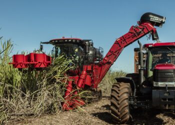 Produtores buscam mecanizar colheita para aumentar produtividade da cana-de-açúcar