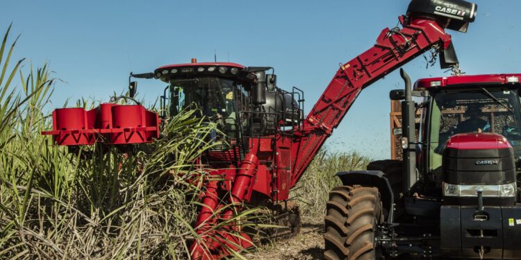 Produtores buscam mecanizar colheita para aumentar produtividade da cana-de-açúcar