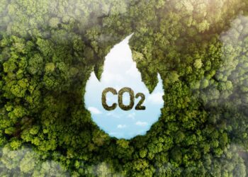 Empresas na corrida para descarbonização