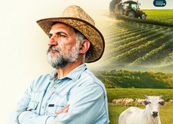 Liberação de crédito rural para comercialização movimenta agro goiano