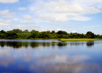 Mato Grosso e Instituto de Pesquisa do Pantanal reforçam parceria