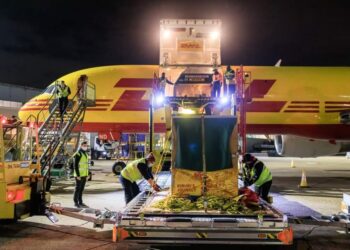 Maior operadora logística do mundo inicia operações em Aparecida de Goiânia