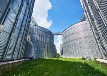 No mês do agronegócio, especialista indica solução para um dos maiores desafios do setor