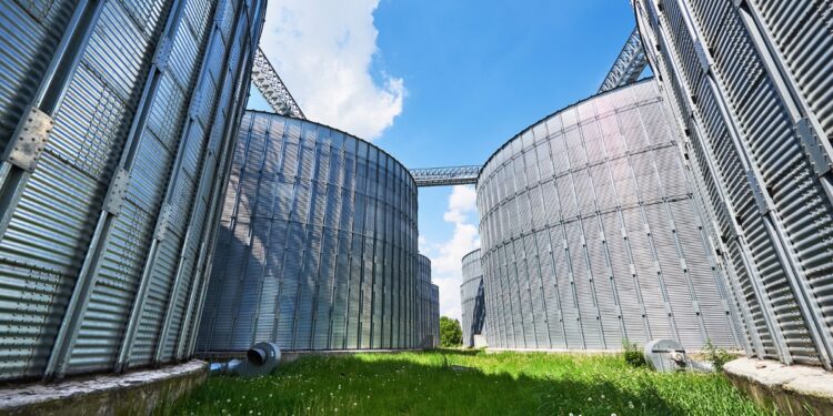 No mês do agronegócio, especialista indica solução para um dos maiores desafios do setor