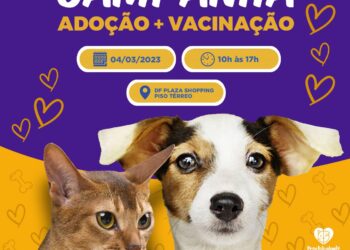 DF Plaza Shopping tem sábado com feira de adoção e vacinação antirrábica