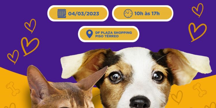 DF Plaza Shopping tem sábado com feira de adoção e vacinação antirrábica