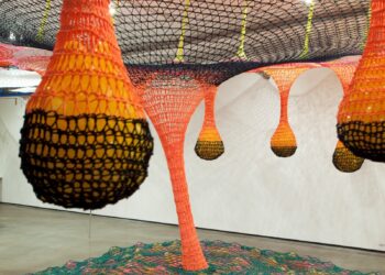 Flamboyant 40 anos: shopping adquire obra de artista contemporâneo Ernesto Neto