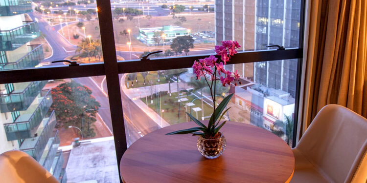 Festival Micarê: Foliões podem aproveitar ingresso e hospedagem a preços especiais