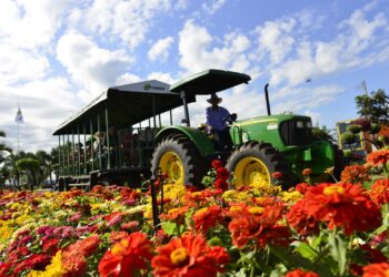 Tecnoshow Comigo 2023 terá 70 mil mudas de flores e plantas variadas
